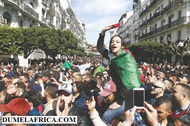 f-manif_alger_fille_5e_paragraphe_.jpg