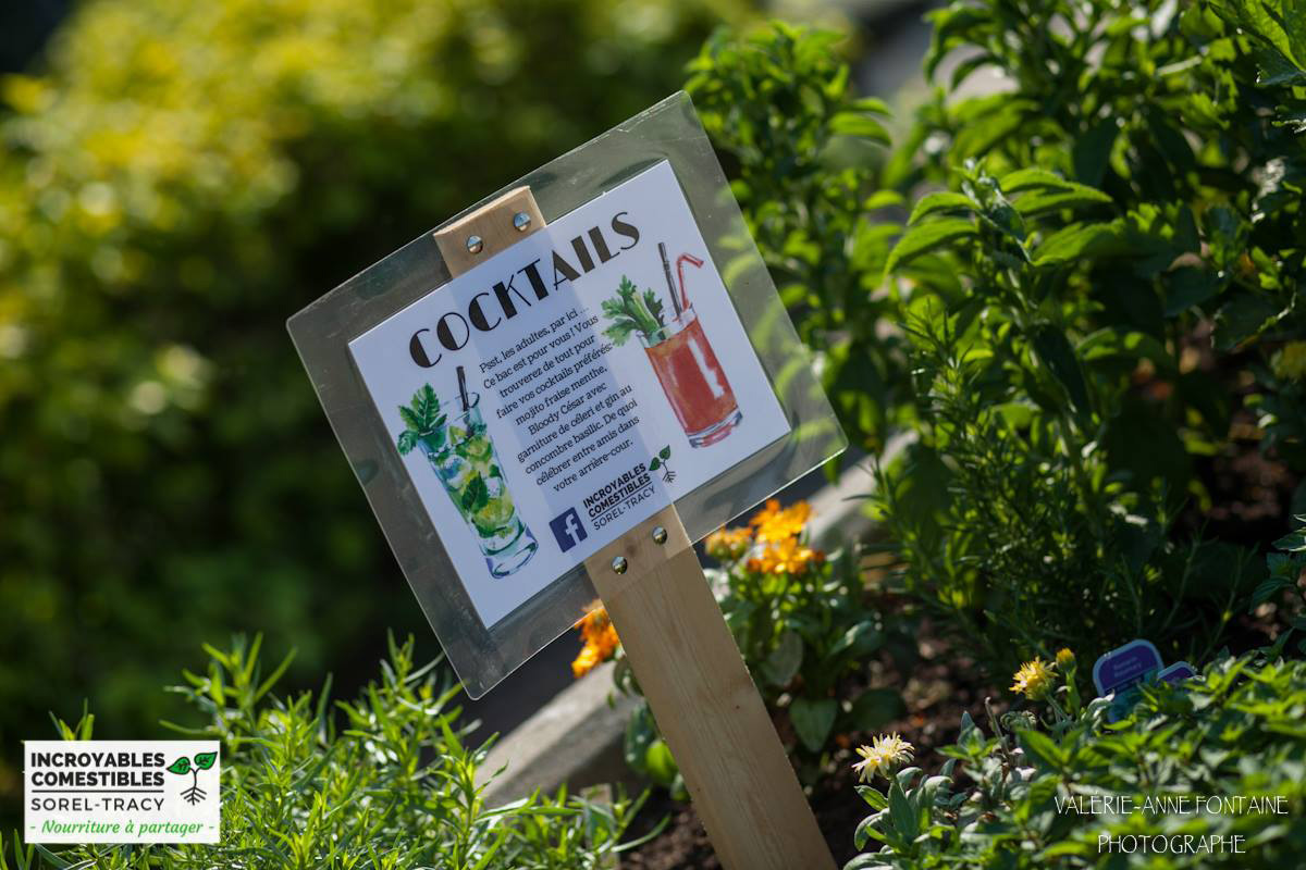 Lien vers Recettes de cuisine contre souveraineté alimentaire